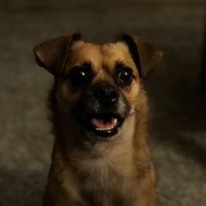 Meet your Posher, Adam